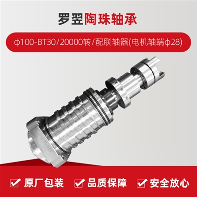 罗翌/陶珠轴承/φ100-BT30/20000转/配联轴器(电机轴端φ28)